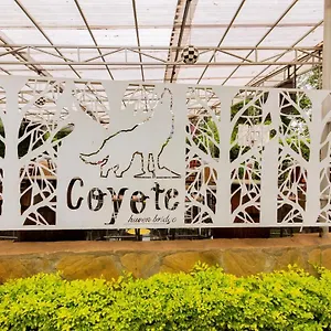 Coyote Haven Bridge 3*