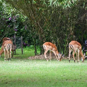 Lukenya Getaway 3* Athi River