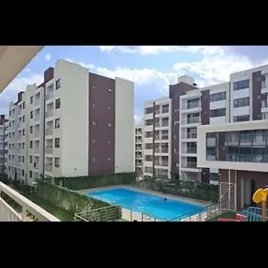Chichi Homes