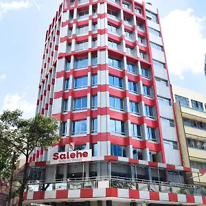 Salehe Safaris Hotel