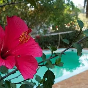 Eden Gardens And Restaurant ナイロビ