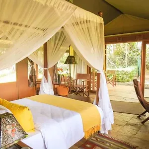 Orbitir Burrow Luxury Tent Luxury tent *