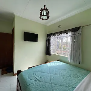 Executive Hotel 4*