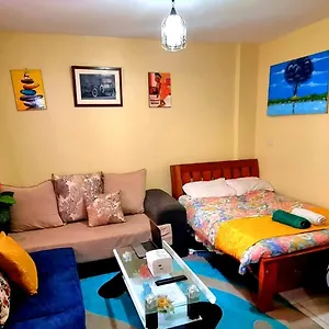 Spacious Studio Apartment, Bedsitter Along Trm Drive Apartment Nairobi