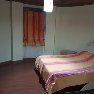 Homely-stay *