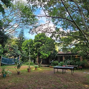Mad Vervet Backpackers Hostel *