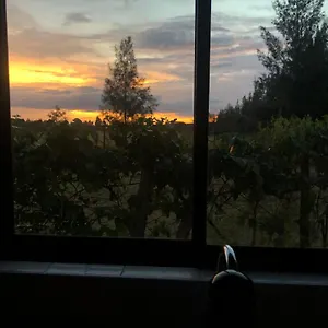 Tuala Nairobi