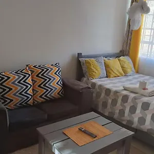 Duplex Bedsitter Nairobi