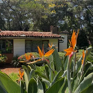 In Paradisiacal Garden Apartment