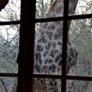 Les 3 Marulas Marloth Park