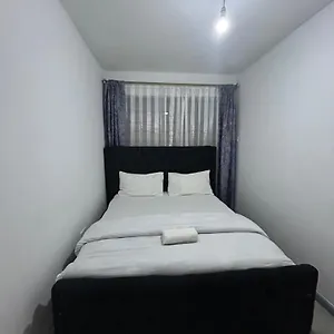 Bambi Homes