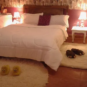 Jill's Nest Homestay