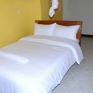 Hotel Golden Goose 3*